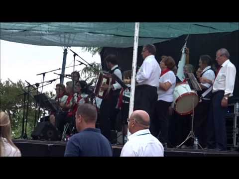 JOGO DAS CANTARINHAS