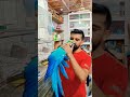 Bird Price In Bangladesh Aquarium Fish Price Buy Cate Pets Bird Dog Short