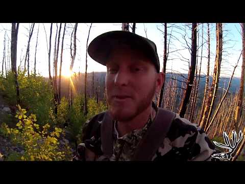 BOW HUNTING 2016 Ep.2