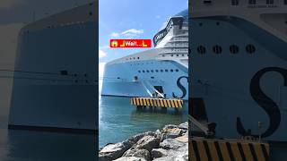 🤯STAR OF THE SEA | Really Monster 💀 Cruise Ship #staroftheseas #viewersloverviews #cruise #shorts