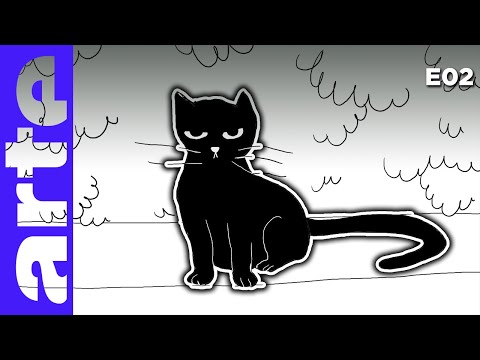 Les chats | Samuel #02 | ARTE