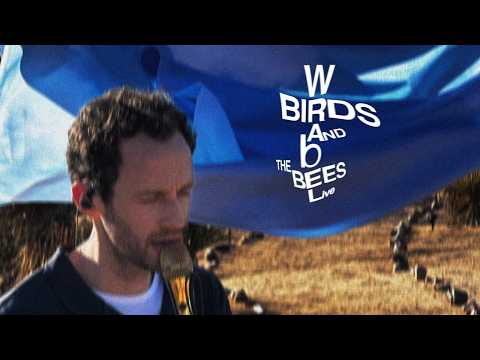 Birds And The Bees - Wrabel