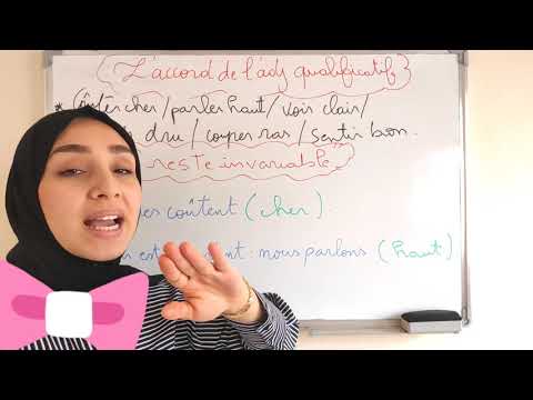 l'accord de l'adjectif qualificatif شرح بالدارجة!
