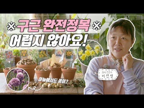 , title : '[ SUB ] 구근이 궁금해 ! Everything About the Bulb | 정원의 발견 Wonders of Garden | KBS제주 20221118 방송'