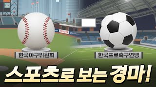 Horse Racing as a Sport! | Horse Racing Guide Part 4