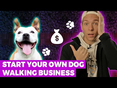 How to Start a Dog Walking Business