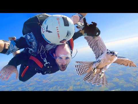 I Raced the World's Fastest Animal!