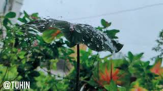 rainy day slow motion water drop whatsapp status video/cloud video/ rainy day status video