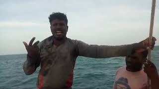 Download lagu கடலில் கடல் கன்னிகள் உண்டா - உங்கள் மீனவன் | Is there mermaid in deep sea ? mp3 Download lagu கடலில் கடல் கன்னிகள் உண்டா - உங்கள் மீனவன் | Is there mermaid in deep sea ? mp3