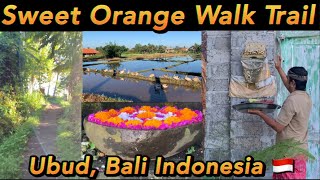 バリ島(ウブド)日常に溢れる癒しのスピリチュアル✨ Sweet Orange Walk Trailは素敵すぎた🌴 #thailand #bali #ubud 