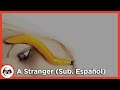 A Perfect Circle - A Stranger (Sub. Español)