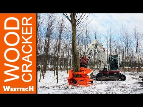 WOODCRACKER CL260 im Kurzumtrieb