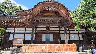 【東京 散歩 3】 深大寺参拝 武蔵野台地の緑の宝物 松本清張と旨い蕎麦でも戴きましょうか  (2026年5月)