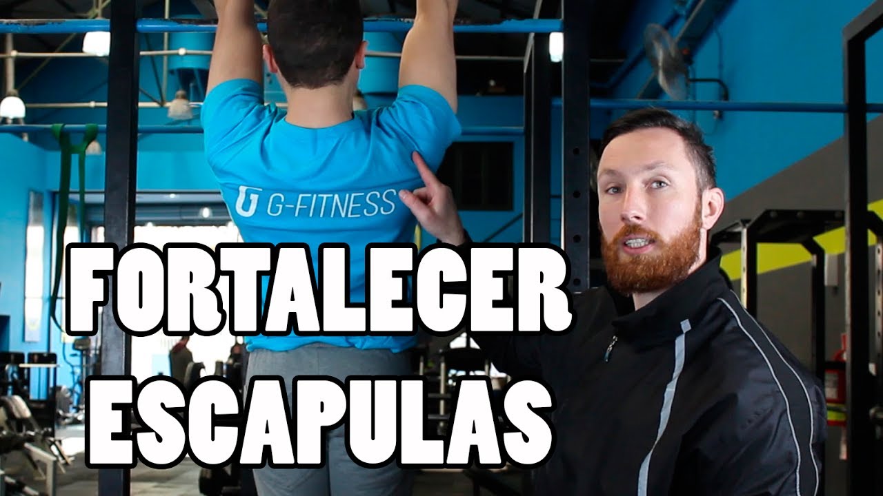 The Best Scapular Strength Exercises