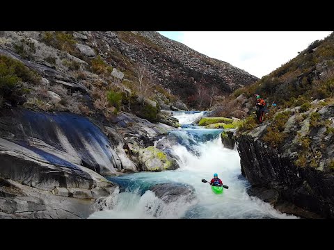 REEL WORLD Vol.5 – # 44 Harry Shearer (Uk)