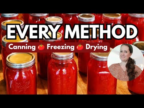 8 Ways to Preserve Tomatoes - A Complete Guide