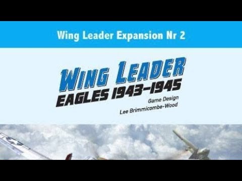 Wing Leader Eagles - Recon and Evaluation