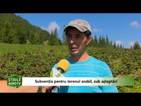 Subventia pentru terenul arabil sub asteptari 07 09 2020