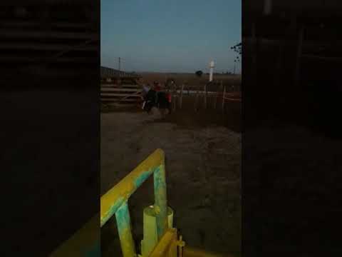 Heitor galante vs Red Label Cia ap