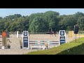 Merrie Zangersheide Te koop 2020 Donker bruin / bai ,  HALIFAX VT KLUIZEBOS