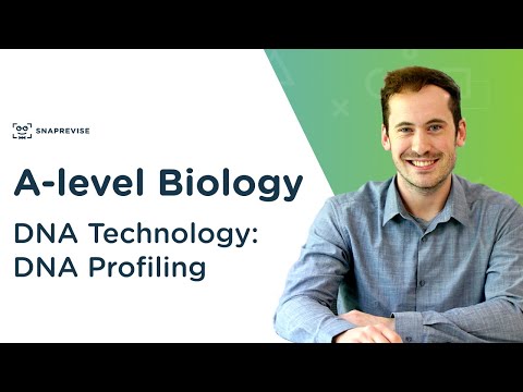 DNA Technology: DNA Profiling Video Lecture - Biology A-Level - A Level