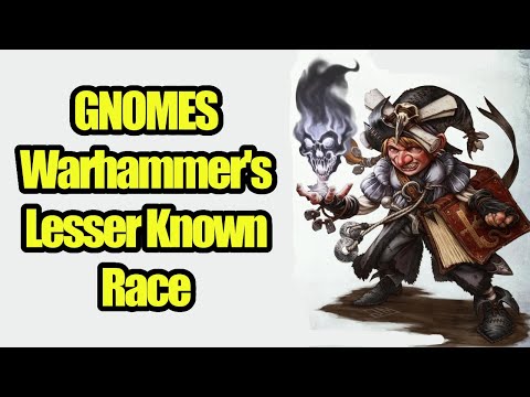 Gnomes - Warhammer's Lesser Known Race Who Live Within The Empire