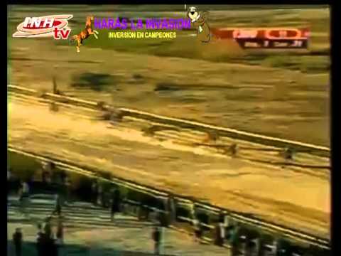 VALENCIA 11 CARRERA VIERNES 23 DE ENERO DEL 2015