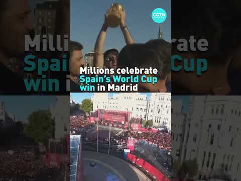 Two million gather to celebrate Spain's World Cup victory