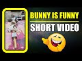 Bunny Is Always Funny Dog Fart Shorts Harpreet SDC