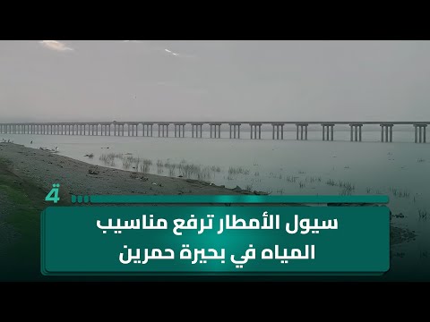 فيديو | سيول الأمطار ترفع مناسيب المياه في بحيرة حمرين