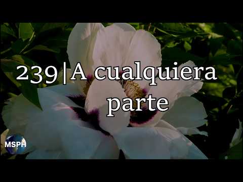 A Cualquiera Parte - Himnos Pentecostales