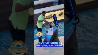 WORK IT BOB #diazondecktravel #staroftheseas #royalcaribbean #shiplife #cruiselife #cruise #travel