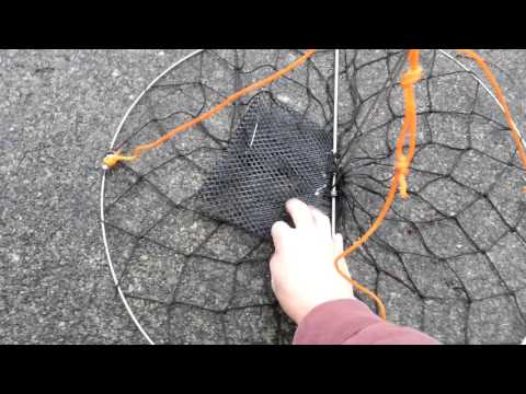 Prepare Half Moon Clamshell Crab Trap for Salt Water Crabbing