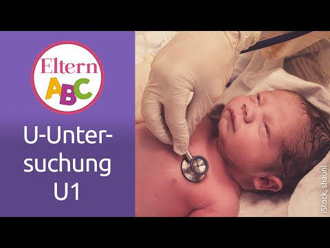 U-Untersuchungen: Was passiert bei der U1? | Baby | Eltern ABC | ELTERN