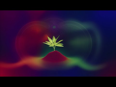 RELAXATION MUSIC for PLANT HEALTH - Binaural Vibrations for the Home