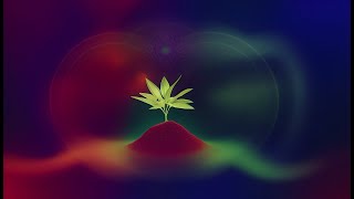 RELAXATION MUSIC for PLANT HEALTH - Binaural Vibrations for the Home