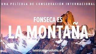 La Naturaleza Nos Habla | Fonseca es La Montaña
