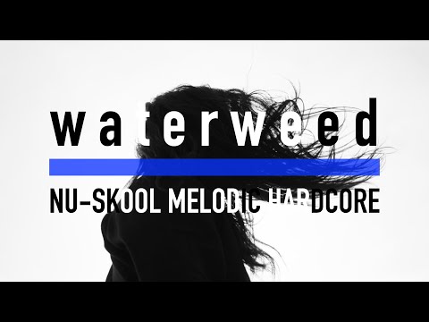 waterweed - Good luck (Music Video)