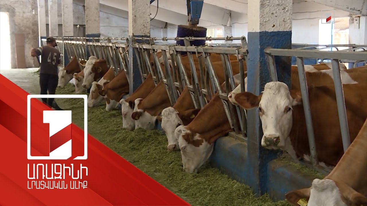 Նոր հնարավորություն՝ ջերմատուն և «խելացի» անասնաշենք կառուցողների համար