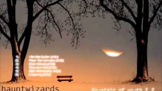 Brain Waves - I Haunt Wizards (+ lyrics)