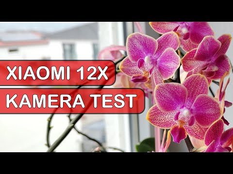 Xiaomi 12X Kamera Test [8k60]