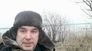 Ссылка