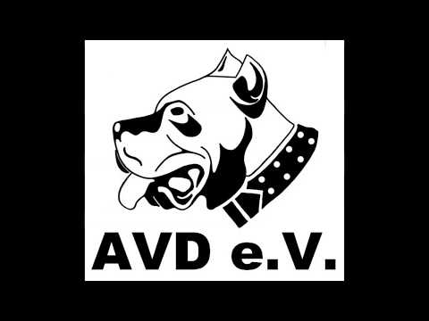 Xante de la Arena / ringsport face attack competition / AVD e.V. / Working Presa Canario Germany /