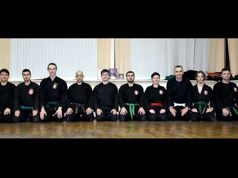 武神館体術 Bujinkan taijutsu Shizen no kihon 自然の基本