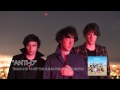 The Wombats - Anti D