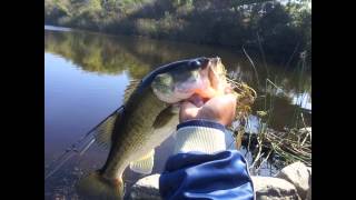 preview picture of video 'San Diego Fishing: The Bait Master lands a largemouth bass.'