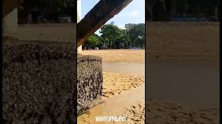 Download lagu story wa pantai 30 detik || 🎵 mp3