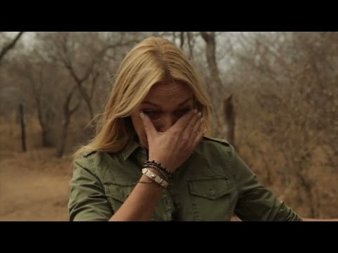 Här bryter Linda Lindorff ihop - Linda och djurens hjältar (TV4)