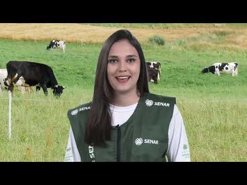Prestador de Serviço da ATeG do Senar
