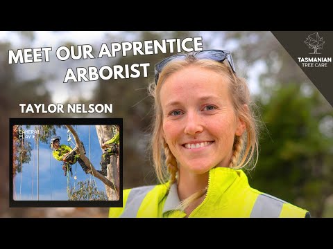 Meet Our Apprentice Arborist Taylor Nelson